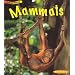 Mammals (Animal Young) (Animal Young)
