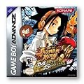 Shaman King: Legacy of Spirits Sprinting Wolf