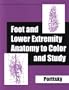 Foot & Lower Extremity Anatomy to Color & Study, 1e