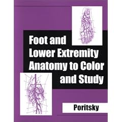 Foot & Lower Extremity Anatomy to Color & Study