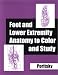 Book Foot & Lower Extremity Anatomy to Color & Study