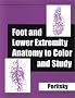 Foot & Lower Extremity Anatomy to Color & Study