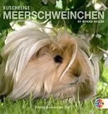 Kuschelige Meerschweinchen 2011. Postkartenkalender