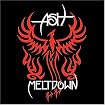 Meltdown