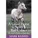 Great horse books