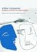 Books : A Boal Companion: Dialogues on Theatre and Cultural Politics