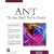 Ant: The Java Build Tool in Practice (Charles River Media Programming)