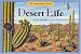  : One Hundred One Questions About Desert Life