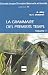 La
Grammaire
DES
Premiers
Temps