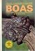 Boas and Other Non-Venomous Snakes