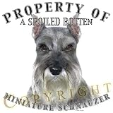 Schnauzer 