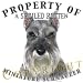   - Schnauzer 