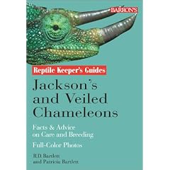 Jackson's Chameleons (Reptile & Amphibian Keeper's Guides)