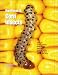 Book Handbook of Corn Insect Pests (Handbook series)