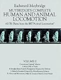 Muybridge's Complete Human and Animal Locomotion : All 781 Plates from the 1887 Animal Locomotion: New Volume 2 (Reprint of original volumes 5-8)