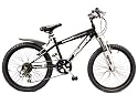 Concept Terminator 20" Boys Bike 7-9 Yrs
