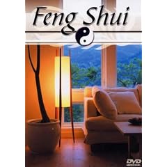Feng Shui [DVD] [2005]
