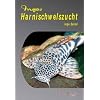 Ingos Harnischwelszucht, m. DVD