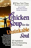 Chicken Soup for the Unsinkable Soul: 101 Stories (Chicken Soup for the Soul)