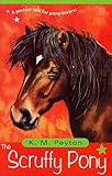 The scruffy pony