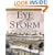 Eye Of The Storm: A Civil War Odyssey