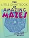 Book The Little Giant Book of Amazing Mazes
