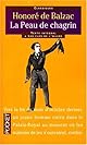 La peau de chagrin (Lettres françaises)