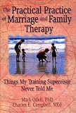 The Practical Practice of Marriage and Family Therapy: Things My Training Supervisor Never Told Me (Haworth Marriage and the Family,)