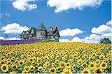 パズルの達人 1500ピース ヒマワリの咲く丘-北海道 15-502