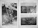 1905 Major Churcher Hythe Musketry Hypergon Gun Men