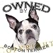 boston_terrier48boston terrier - Boston Terrier BLACK Mousepad Mouse Pad Owned By