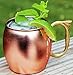 Craft Cocktails - Handmade Copper Moscow Mule Mugs with Gift Box (Set of 4, 16 Oz., Smooth)