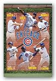 (22x34) Chicago Cubs 2011 Colvin Garza Ramirez Castro Soriano Soto Sports Poster Print