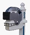 Carolina Panthers Helmet Style Mailbox
