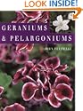 Geraniums and