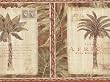 Burnt Orange Palm Tree Wallpaper Border