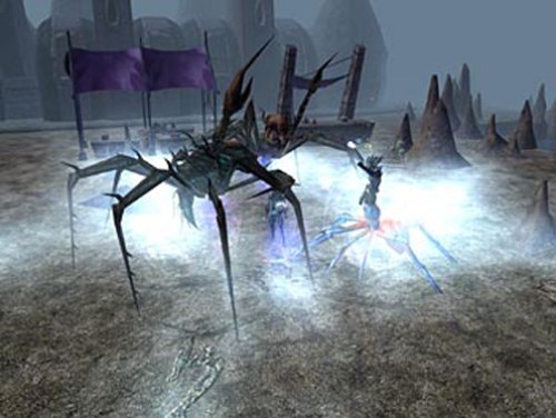 Neverwinter Nights: Hordes of the Underdark Expansion Pack image