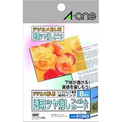 A-one 51393 デジカメ用L判シリーズ 透明つや消しフィルムカード