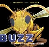 Buzz