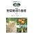 野菜栽培の基礎 (農学基礎セミナー)