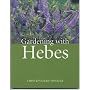 Gardening with Hebes