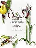 Orchid�es sauvages des Ardennes, des Savoies, du Var, du Vercors et d'Andalousie : 44 Planches, crayons de couleur et aquarelles