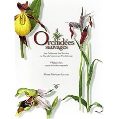 Orchid�es sauvages des Ardennes, des Savoies, du Var, du Vercors et d'Andalousie : 44 Planches, crayons de couleur et aquarelles