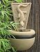 Gecko Bowl Fountain
