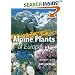 Alpine Plants of Europe: A Gardener's Guide