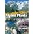 Alpine Plants of Europe: A Gardener's Guide