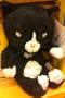 If You Give a Cat a Cupcake 8" Plush Doll Toy