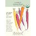Organic Carrot Seeds Carnival Blend 1000 Seeds
