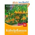 K�belpflanzen: Die sch�nsten Arten f�r Balkon und Terrasse