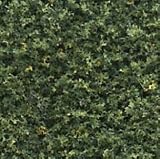Blended Turf, Green - B0006N71GW